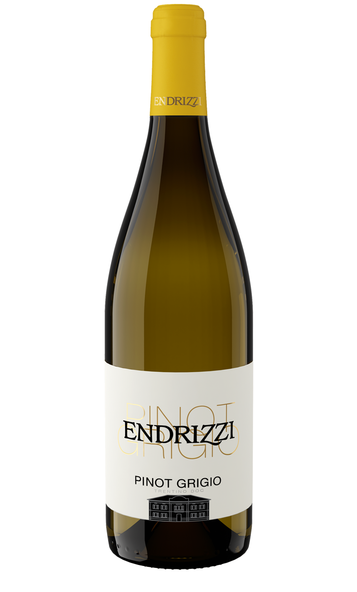 Endrizzi - Pinot Grigio Trento DOC 2021
